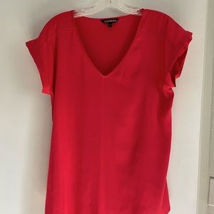 Express V-Neck Short Sleeved Shirt, Size Large